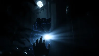 Dream About a Black Bear