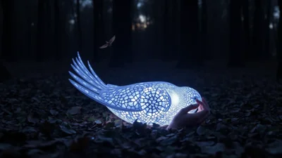 Dream About a Dead Bird