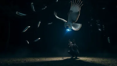 Dream about Hawk Attack