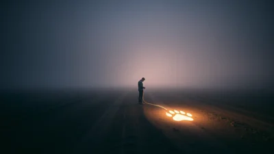 Dream About a Lost Dog