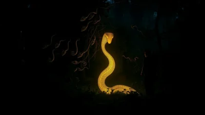 Dream About Many Snakes