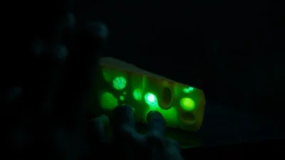 Dream About Moldy Cheese