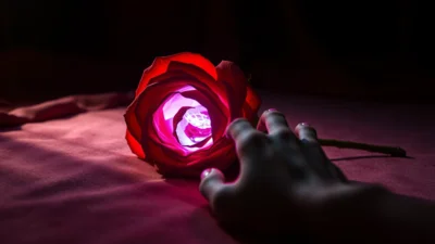 Dream About Red Roses