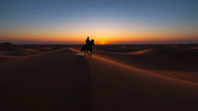 Dream About Riding