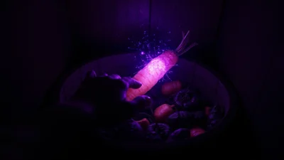 Dream About Rotten Vegetables