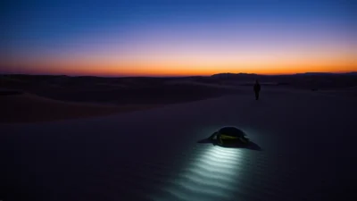 Dream About a Slow Moving Turtle